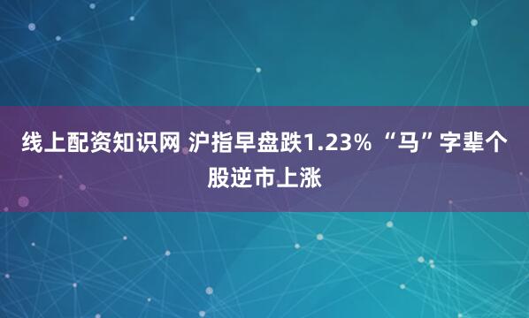 线上配资知识网 沪指早盘跌1.23% “马”字辈个股逆市上涨