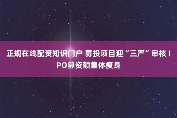 正规在线配资知识门户 募投项目迎“三严”审核 IPO募资额集体瘦身