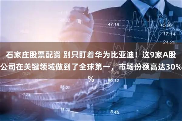 石家庄股票配资 别只盯着华为比亚迪！这9家A股公司在关键领域做到了全球第一，市场份额高达30%